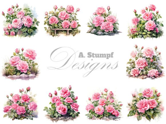 Download Pink Roses Clipart Set Watercolor Flower - Rose Collection